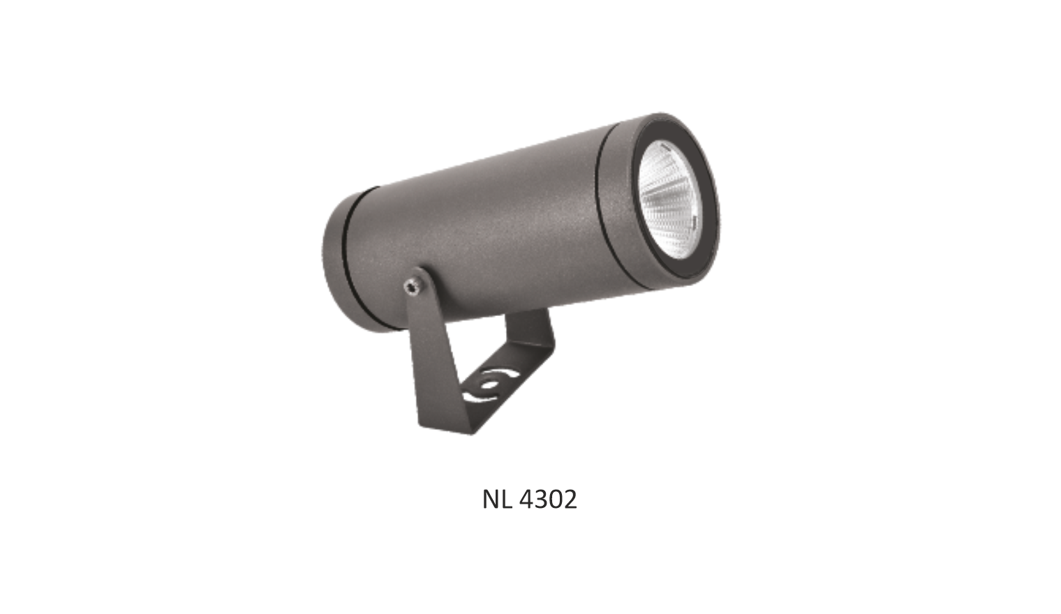 Surface & Spike outdoor Light