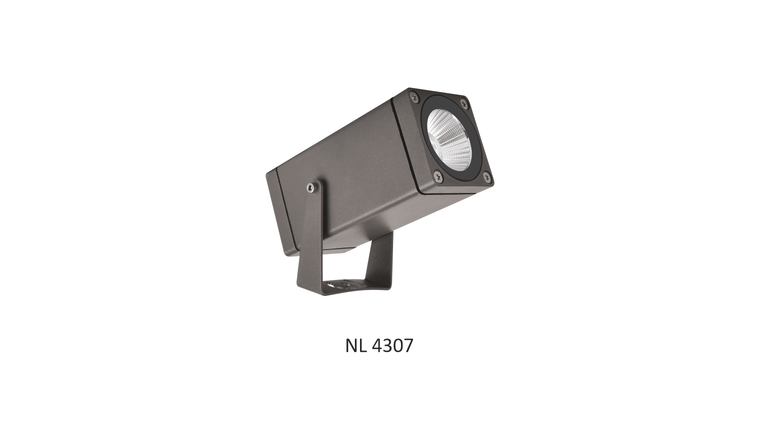Surface & Spike outdoor Light